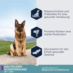 EUKANUBA Breed Specific Deutscher Schäferhund 12 Kg -Haustier Lieferungen e74566402a337a12fdc798e9fabde5f0d5953a5c cc66d4c435377188d1bbad195ed5e6d7ec8074b3