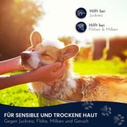 Pawlie's Sensitiv Hundeshampoo Für Hunde 9 Pawlie's Sensitiv Hundeshampoo Für Hunde -Haustier Lieferungen e89fe06ff66f08049212bfc10adc10153aeb63cf 1626194 de DE 4976fc58bb1aa66ec74bbce2250fc22a134be1c3oYKgL0