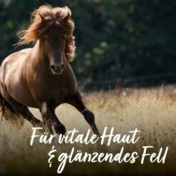 Aniforte Bierhefe Pulver 250 G -Haustier Lieferungen e90f799f42291bc99923416c38244a01fcbd0b4c 1665877 de DE 065f59ee75fc3ae72a0315edf84d964644e562bc3Nrs7r