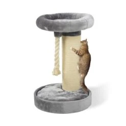 MORE Kratzbaum Bente -Haustier Lieferungen e9b2f106fd5166a39ac6fc361f4a0c914a27a18c e3dce24ee9bad6c267aa9c1b35023714eb90889e