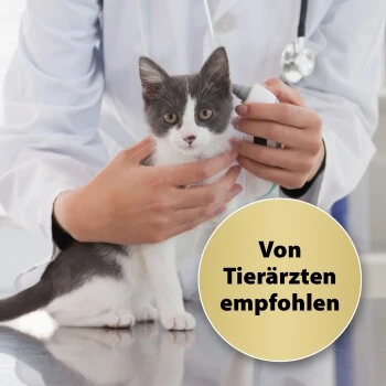 Felisept Home Comfort Nachfüller 45ml 2 Felisept Home Comfort Nachfüller 45ml – Bild 2