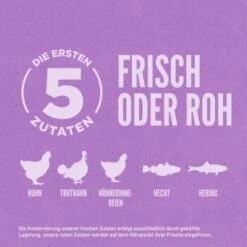 Orijen Puppy Large Breed 6 Kg -Haustier Lieferungen ea4c0af897293cc2d32c93de239cdf1a77ed7b32 1261010 de DE ORI Puppy Large Dog Carousel 2000x2000 DE 1