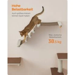 FEANDREA Clickat Katzenmöbel 2er Set, Kletterwand -Haustier Lieferungen ea7e627724db534c6e0464771932a5ea554c0b07 1681501 de DE 69b299a2a0b5f1d93e61abe664375afb5e8ca6e9R2CgKk