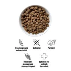 Eat Small EatSmall 3x2kg Active Trockenfutter -Haustier Lieferungen ececbaa2783fce041badbf0718805ecf4a153163 1472609 de DE 3afc6319dab2229d23c78f66619a85133d5150ffAAhIpp