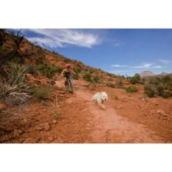 Ruffwear Swamp Cooler Zip™ Kühlweste Für Hunde Pink XL -Haustier Lieferungen f39337d577f60e5d30ba5addfb811febecbc66e7 1639652 de DE 1ff9fca93caed68be3a65cc55ad0d154f81bf268suJpN2