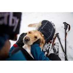 Ruffwear Cloud Chaser™ Hundejacke 17 Ruffwear Cloud Chaser™ Hundejacke -Haustier Lieferungen f46c67f8b7243d976f998e1877675b56fc87eab2 1369625 de DE 51d1c132eb566a7eb9e278708f64567d4e47a10epBiJRc