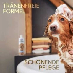 Pawlie's Welpenshampoo 10 Pawlie's Welpenshampoo -Haustier Lieferungen f56801adb1bee6d0b5fdd328d641fa773ce5d4c4 1626204 de DE 7b87b87a2e48e8c0e12b98c918c4d75b538aae40E5TfEc
