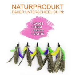 Schlitzohr Katzenangel Federanhänger 5x 13 Schlitzohr Katzenangel Federanhänger 5x -Haustier Lieferungen f6a96b93601c3b2f6f7420ade3ecfe56542cca74 1484675 de DE b1d2fd29ad67016b9a6af908251d348edfa467f2BG8aWR