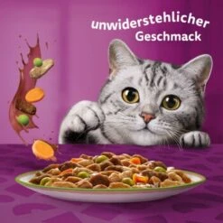 Whiskas Tasty Mix Multipack Chef's Choice In Sauce 40 X 85g -Haustier Lieferungen f6e2ae102927feafb9e342708a0412557690953c 1410720 de DE Whiskas 6