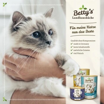 Betty's Landhausküche Frischebeutel Huhn Mit Lachs 12 X 100g Für Katze 2 Betty's Landhausküche Frischebeutel Huhn Mit Lachs 12 X 100g Für Katze – Bild 2