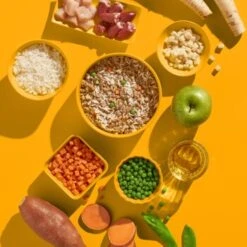 Fred & Felia FRED 10x390g Huhn Mit Reis 7 Fred & Felia FRED 10x390g Huhn Mit Reis -Haustier Lieferungen fa3354d5d7e29f5e3115c7e325cceb743afafaab 1422051 de DE 7f006e1364cbbcd2f31ac4115d4fa7fef4504fe7YhzorV