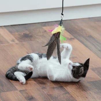 Schlitzohr Katzenangel Federanhänger 5x 2 Schlitzohr Katzenangel Federanhänger 5x – Bild 2