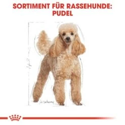 ROYAL CANIN Poodle Adult In Soße 12x85g 6 ROYAL CANIN Poodle Adult In Soße 12x85g -Haustier Lieferungen fb86c0620865f030df6bf40428c3486f929a93cf 88b6bb860653cd13cab44fad51b4b8db62a7114c