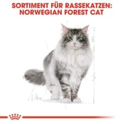 ROYAL CANIN Norwegian Forest Adult 10 Kg 11 ROYAL CANIN Norwegian Forest Adult 10 Kg -Haustier Lieferungen fbb7469796543bd639ecf9b5bdacfec6845c76e4 cac6e10546e06170d84336bb88e578437b718711