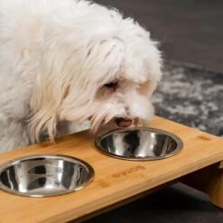 Lionto Erhöhte Futterstation Aus Bambus Braun/ Silber S -Haustier Lieferungen ff2eba128a0d6b75a70cc824dc213b8dd85d734a 1665921 de DE e23b5a688ebe67bbe1f23e079b16083d61ef18cdlFh9kV